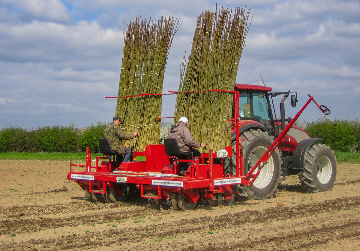 Planting energy